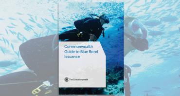 Cover image of Blue Bonds toolkit